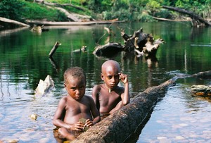 Papua – Kombaiové – Stromoví lidé